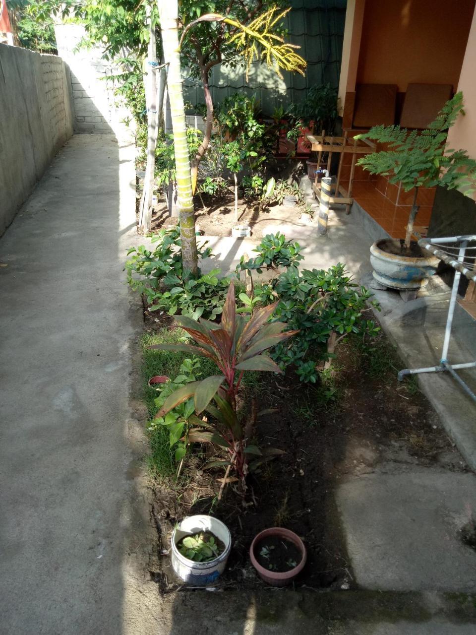 Aladdin Homestay Gili Air Exteriér fotografie